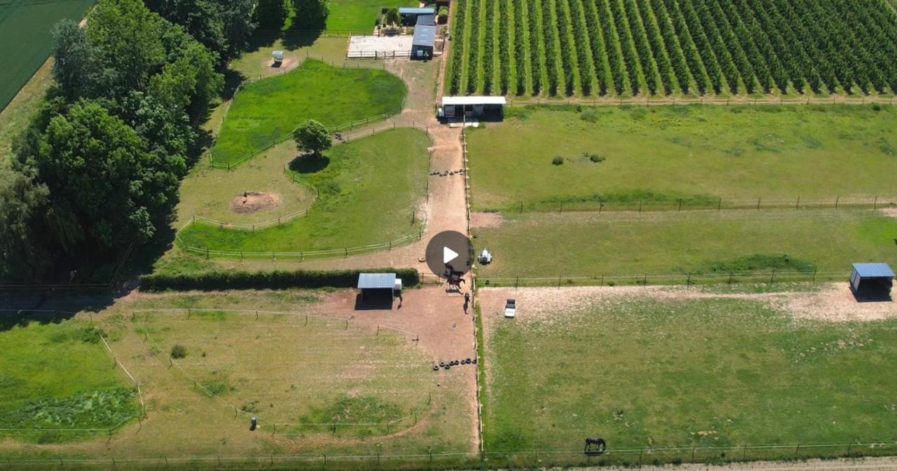 Zoutleeuw Ontwaken Tussen De Paarden B&B 외부 사진