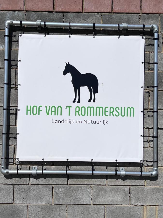 Zoutleeuw Ontwaken Tussen De Paarden B&B 외부 사진